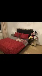 Apartament 2 camere, decomandat, parter, zona Aradului - Timisoara