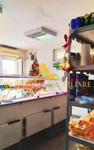 NOVISIMO-IMOBILIARE: SPATIU COMERCIAL DE INCHIRIAT IN ZONA MALU ROSU - foto 2