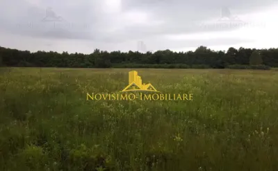 NOVISIMO-IMOBILIARE: TEREN INTRAVILAN IN LIPANESTI - foto 4
