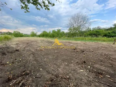 NOVISIMO-IMOBILIARE: TEREN DE VANZARE IN PAULESTI - Paulesti