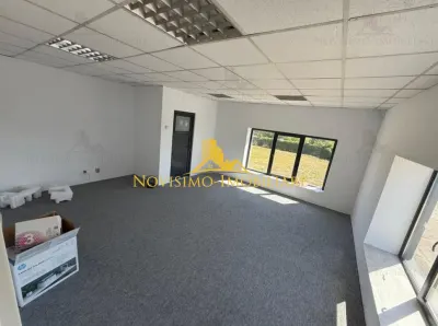 NOVISIMO-IMOBILIARE: HALA DE INCHIRIAT - foto 4