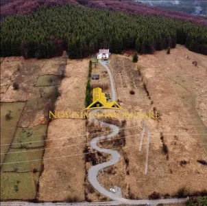 NOVISIMO-IMOBILIARE: CABANA IN ZONA VALEA DOFTANEI, 7000 MP TEREN - foto 13