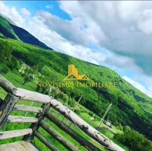NOVISIMO-IMOBILIARE: CABANA IN ZONA VALEA DOFTANEI, 7000 MP TEREN - foto 3