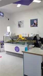 NOVISIMO-IMOBILIARE : VILA DE INCHIRIAT , ULTRACENTRAL - foto 8
