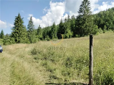 Teren de vanzare pt cabana pe Valea Ilvei - foto 10