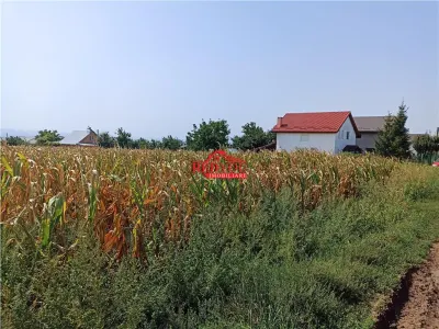 Teren Aroneanu -4800 MP - foto 4
