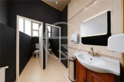 Spatiu comercial, 247 mp utili, situat in zona Centrala! - foto 10
