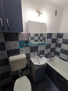 Royal Imobiliare - Inchiriere Garsoniera zona Cantacuzino - foto 10