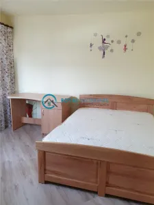 Royal Imobiliare - Vanzari Case Lipanesti - foto 4