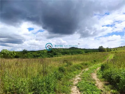 Royal Imobiliare - Vanzari Terenuri zona Urlati - Urlati