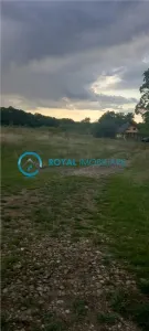 Royal Imobiliare-Vanzare Teren Zona Pacureti - foto 3