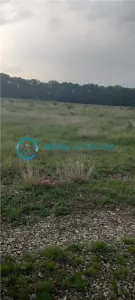 Royal Imobiliare-Vanzare Teren Zona Pacureti - foto 7