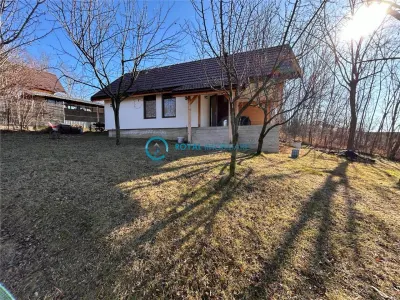 Royal Imobiliare- Vanzare Casa de Vacanta Teisani - foto 3