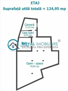 Royal Imobiliare - Vanzare Vila Ultracentral - foto 15