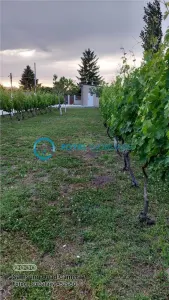 Royal Imobiliare - Vanzare Vila zona Urlati - foto 5