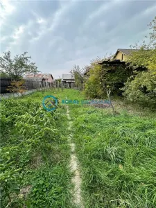 Royal imobiliare - Vanzare casa in Paulesti - foto 16