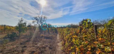 Royal Imobiliare-Vanzare Vila-Valea Calugareasca - foto 4