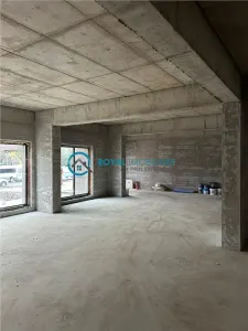 Royal Imobiliare - Inchiriere spatiu comercial zona Albert - foto 3