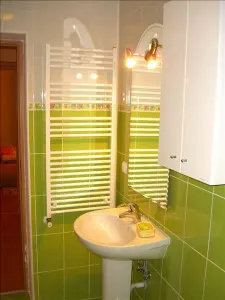ROYAL IMOBILIARE - Vanzare vila zona Nord - foto 13