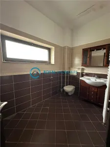 Royal Imobilare - Inchiriere vila zona Albert - foto 23
