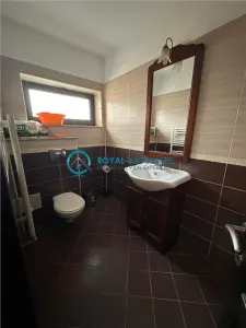 Royal Imobilare - Inchiriere vila zona Albert - foto 24