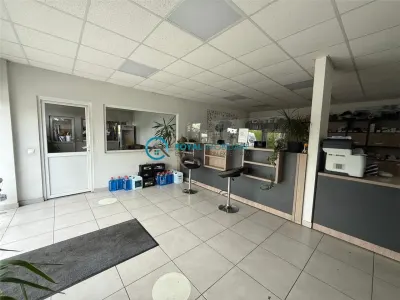 Royal Imobiliare - Inchiriere spatiu industrial zona Tantareni - foto 8