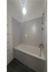 Penthouse 3 camere si terasa la 600m de Popas Pacurari - foto 7