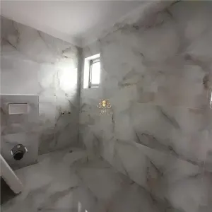 Casa tip duplex la asfalt  Bucium Visani finalizata! - foto 7