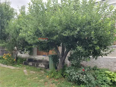 Casa Jaristea cu  teren 880 mp - foto 13
