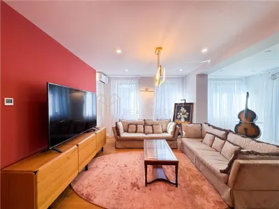 Apartament 3 camere de vanzare Gradina Icoanei - foto 2