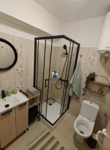 Inchiriere Garsoniera Semidecomandata Berceni-Lunca Barzesti - foto 6