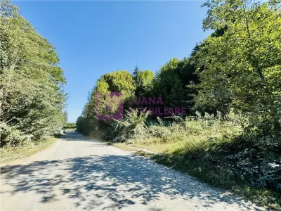 Teren intravilan 3000 mp | Valea Avrigului | deschidere 80 ml - foto 2