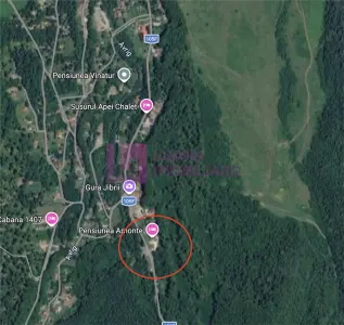 Teren intravilan 3000 mp | Valea Avrigului | deschidere 80 ml - foto 5