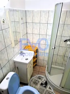 Apartament 2 camere de inchiriat, etaj intermediar, Alexandru cel Bun - foto 3