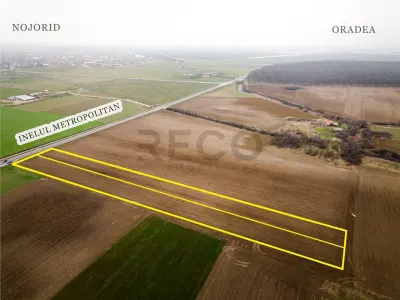 RECO Teren extravilan in Nojorid - foto 4