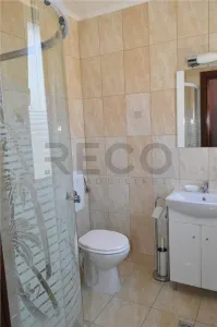 RECO Casa / Pensiune de inchiriat in Sanmartin – 8 camere - foto 11