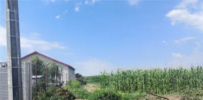 Teren intravilan de vanzare Buturugeni,,20 km distanta de Bucuresti - foto 1