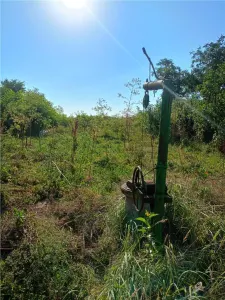 Se vinde casa + 2500 mp teren in Padureni .25 km de Bucuresti - foto 5