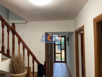 Cabana/Vila de inchiriat Valea Budului, Margineni - foto 19