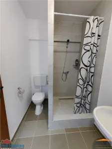 Birouri sau spatii Cazare in Aradu Nou - foto 3