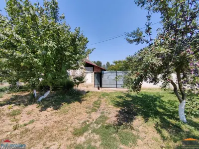 Casa cu 2 camere si anexe in Simand cu teren de 1465 mp - foto 12