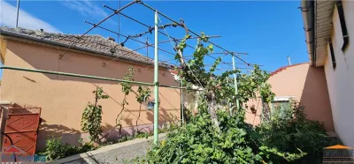 Casa pentru spatiu comercial pe calea Radnei - strada principala - foto 2