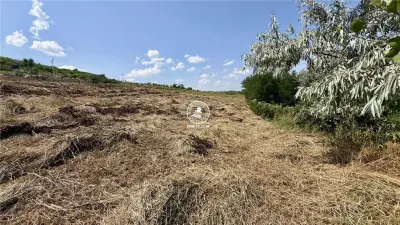 Teren Intravilan Vanatori (Popricani) - 1500 mp - foto 4