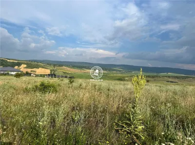 Teren de vanzare Dumbrava 633mp - foto 4