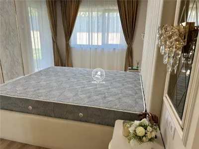 Casa 3 camere de vanzare - Goruni, Tomesti - foto 16
