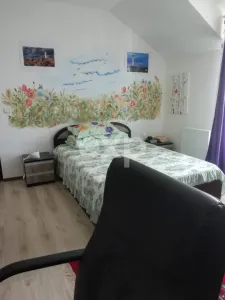 Casa 3 camere in Trivale | str Campului | Mobilata si Utilata - foto 9