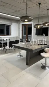 Exclusive Villa for Rent – Iancu Nicolae - foto 11