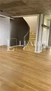 Exclusive Villa for Rent – Iancu Nicolae - foto 9