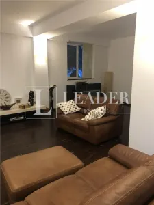 Exclusive Villa for Rent – Iancu Nicolae - foto 11