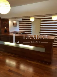 Exclusive Villa for Rent – Iancu Nicolae - foto 6